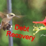 alex chang & co Debt Recovery Legal Firm
